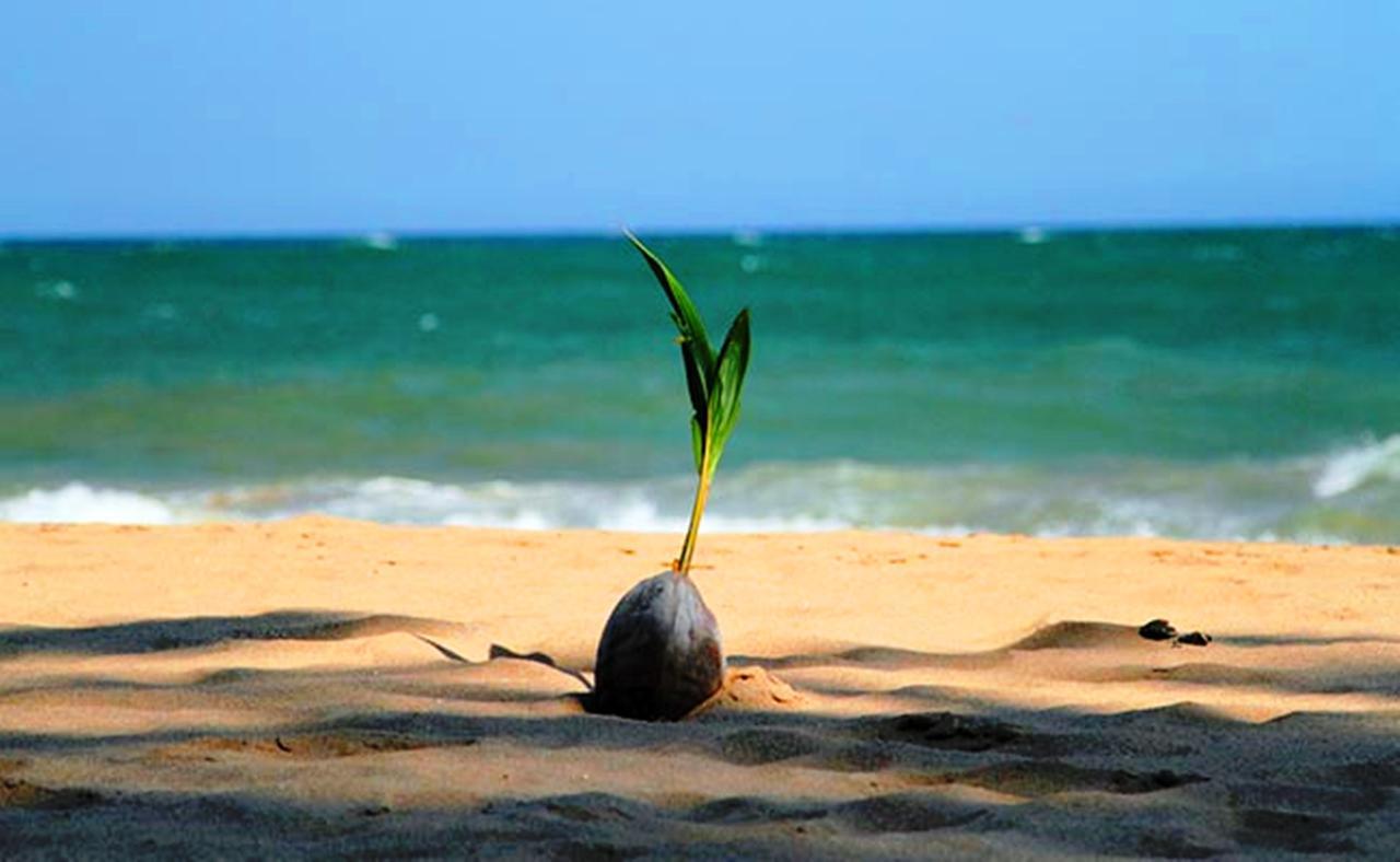 Chill Space Negombo Dış mekan fotoğraf